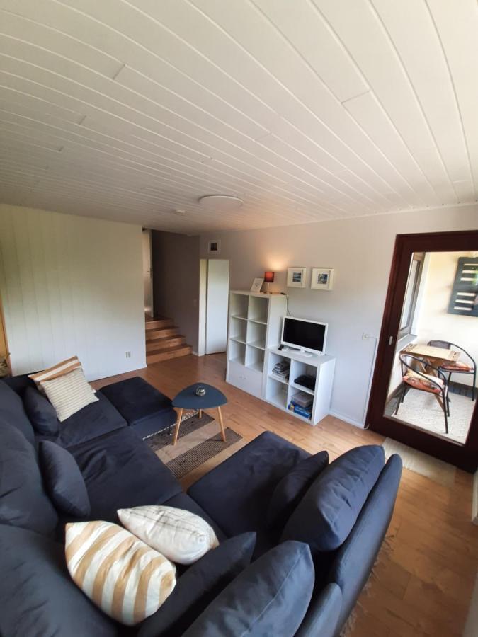 Familien Ferienwohnung Harzer Schoellchen Sankt Andreasberg Dış mekan fotoğraf